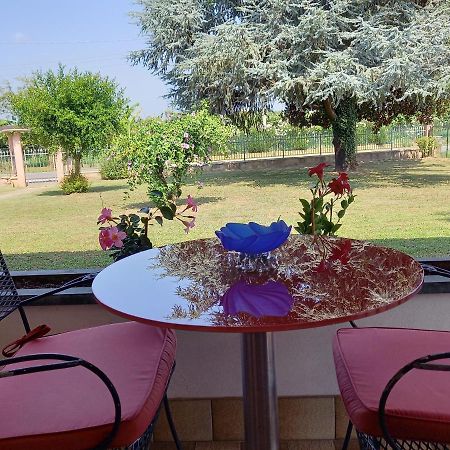 B & B Cedro Argentato Legnago Dış mekan fotoğraf