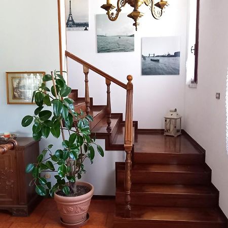 B & B Cedro Argentato Legnago Dış mekan fotoğraf