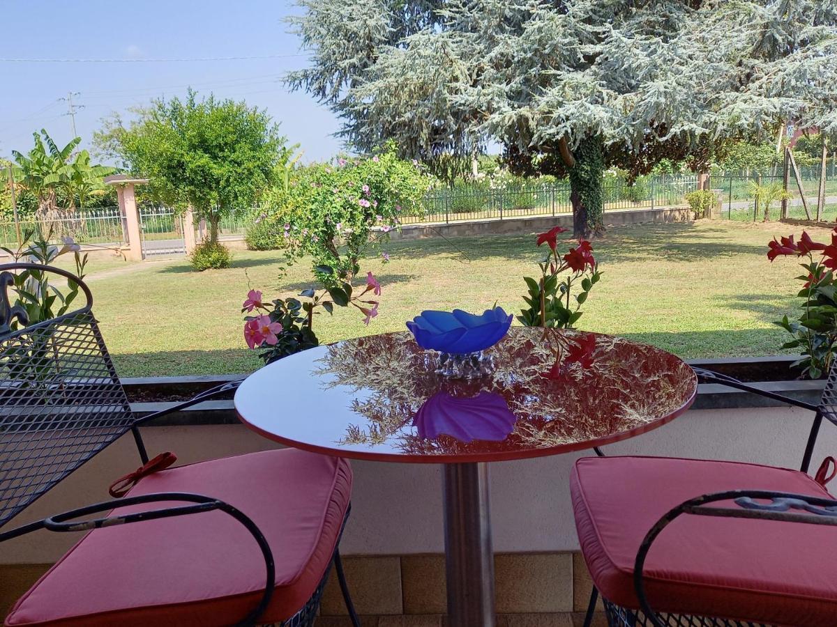 B & B Cedro Argentato Legnago Dış mekan fotoğraf