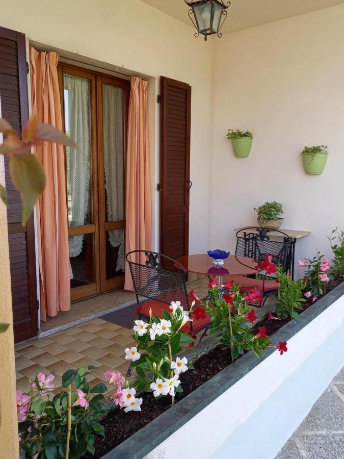 B & B Cedro Argentato Legnago Dış mekan fotoğraf