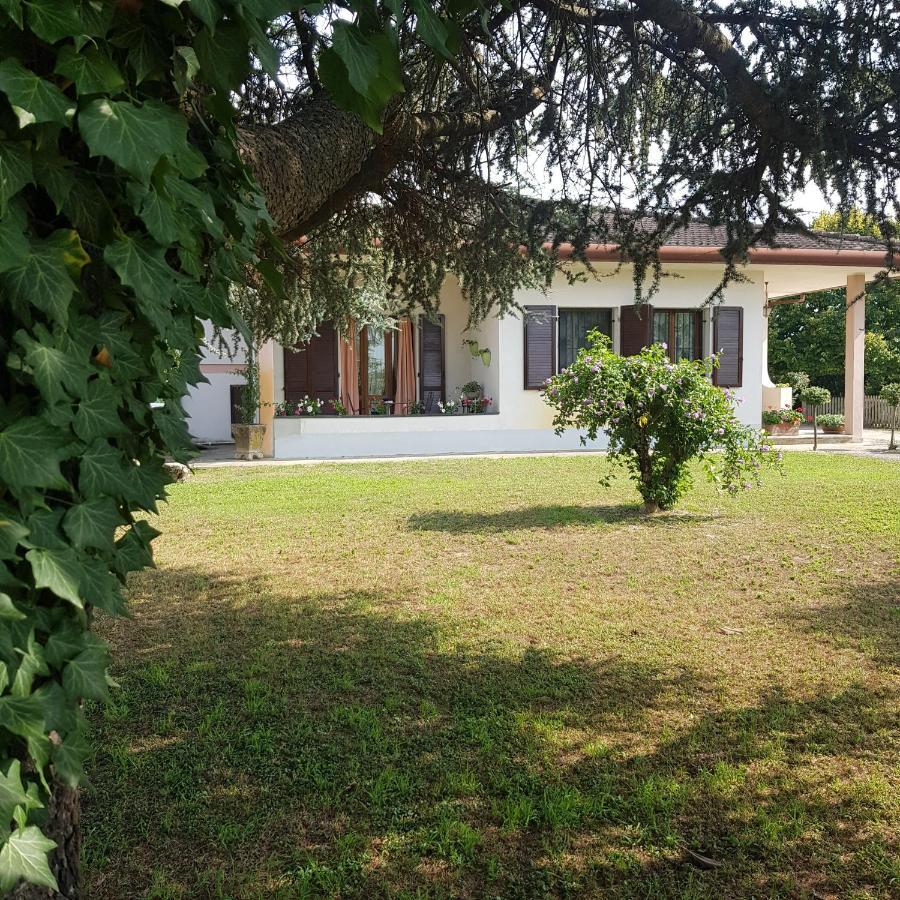 B & B Cedro Argentato Legnago Dış mekan fotoğraf