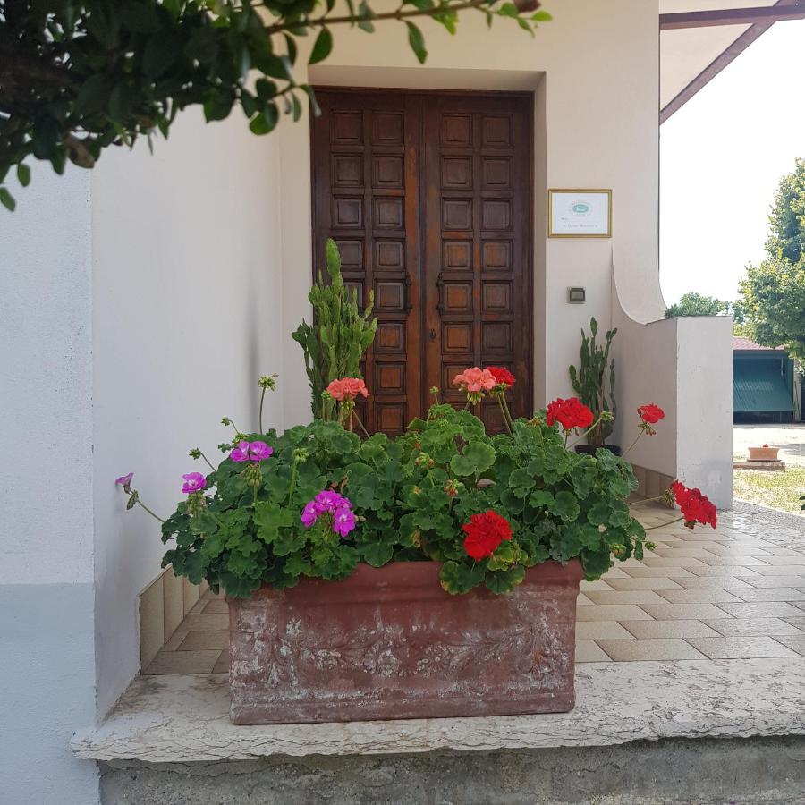 B & B Cedro Argentato Legnago Dış mekan fotoğraf